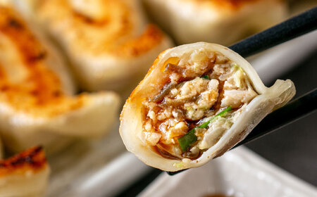 漁港直売店イチオシ3種セット (冷凍キハダマグロ1kg / セーイカ0.6kg / マグロギョーザ24個) [BCDZ004]