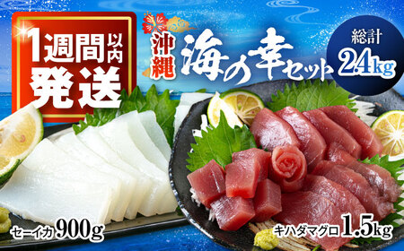 海の幸セット (冷凍キハダマグロ1.5kg / セーイカ0.9kg) [BCDZ005]