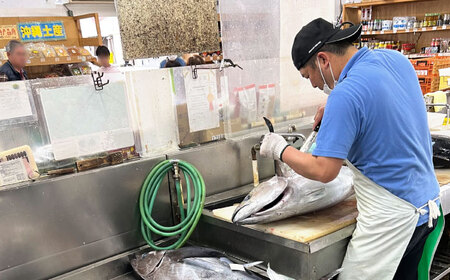 海の幸セット (冷凍キハダマグロ1.5kg / セーイカ0.9kg) [BCDZ005]