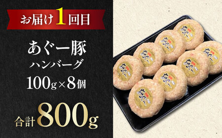 【全3回定期便】家族で満喫！沖縄のお肉贅沢セット【沖縄市】ハンバーグ あぐー 石垣牛 ステーキ 焼肉 冷凍 ギフト お取り寄せ 沖縄市 / お肉屋本店 / 肉のサブロー[BCZZ033]