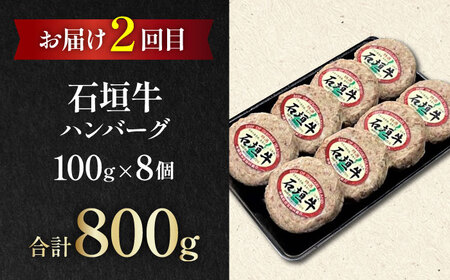 【全3回定期便】家族で満喫！沖縄のお肉贅沢セット【沖縄市】ハンバーグ あぐー 石垣牛 ステーキ 焼肉 冷凍 ギフト お取り寄せ 沖縄市 / お肉屋本店 / 肉のサブロー[BCZZ033]