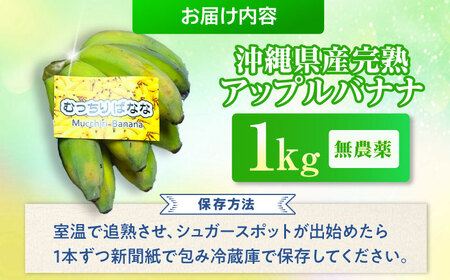 ムッチリ食感!沖縄県産アップルバナナ 1kg バナナ フルーツ 果物 無農薬 banana 沖縄市 / タカエス フルーツ&ベジタブル 10000円 BCBH003