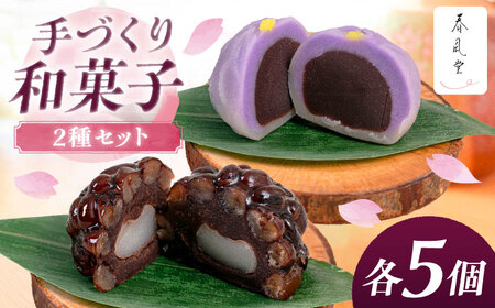 和菓子2種セット (練り切り・鹿の子 / 各5個) 沖縄市 / 和菓子屋 春風堂[BCCL008]