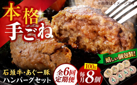 【全6回定期便】沖縄県産 あぐー豚＆石垣牛 ハンバーグセット 800g (100g×8個) 豚 牛 ハンバーグ 冷凍 ギフト お取り寄せ 沖縄市 / お肉屋本店[BCAZ016]