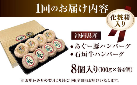 【全6回定期便】沖縄県産 あぐー豚＆石垣牛 ハンバーグセット 800g (100g×8個) 豚 牛 ハンバーグ 冷凍 ギフト お取り寄せ 沖縄市 / お肉屋本店[BCAZ016]