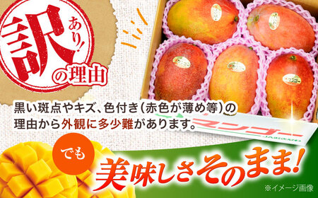 【2026年発送 予約受付】 訳あり 完熟マンゴー 約4kg (約2kg×2箱) マンゴー 