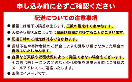 【2026年発送 予約受付】 訳あり 完熟マンゴー 約4kg (約2kg×2箱) マンゴー 