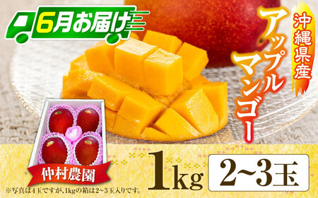 【期間限定】 【全2回】 沖縄市特産 和牛ステーキ ＆マンゴー アップルマンゴー 沖縄 牛肉 希少部位 ステーキ 沖縄市 / 仲村農園 / 肉のサブロー[BCZZ049]