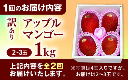 【全2回】太陽の恵み マンゴーご褒美便 (総計2kg) マンゴー 2026 沖縄 果物 フルーツ ギフト 沖縄市 / 仲村農園[BCZZ051]