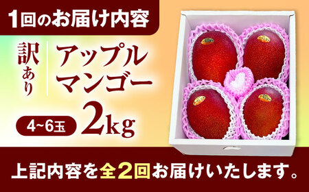 【全2回】太陽の恵み マンゴーご褒美便 (総4kg) マンゴー 2026 沖縄 果物 フルーツ ギフト 沖縄市 / 仲村農園[BCZZ053]