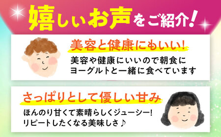 【小玉】ドラゴンフルーツ 2kg 完熟直送！沖縄ドラゴンフルーツ