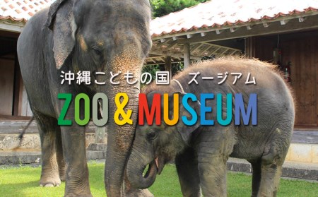 沖縄こどもの国ズージアム 年間パスポート（親子セット）【 体験 入場券 動物園 テーマパーク 年間パスポート 引換券 チケット 親子 大人1人 子供1人 動物 沖縄の動物 自然 遊び あそび 癒し いやし 贈答 贈り物 ギフト 沖縄 観光 沖縄こどもの国 】