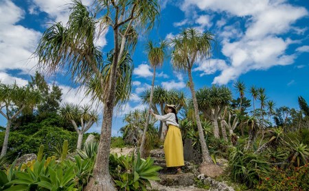 沖縄県観光スポット「東南植物楽園」入園券＜大人2名＞【 体験 入場券 ペアチケット 大人2人 植物園 動物ふれあい 小動物 テーマパーク 植物 1300種以上 亜熱帯 熱帯 自然 遊び あそび 癒し いやし 観光 贈答 贈り物 ギフト 沖縄 】