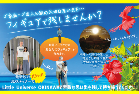 Little Universe 年間パスポート (大人1 名) （AJ005）