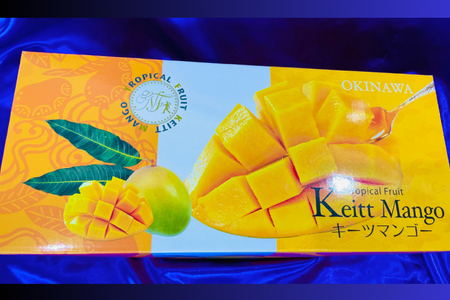 【2026年8月より順次発送】稀少プレミアム！！豊見城市産キーツマンゴー 約1.5kg(2～3玉) (BV001-1)