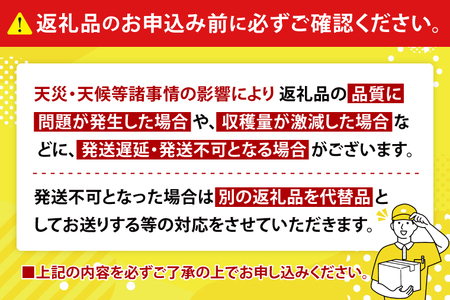 【2026年8月より順次発送】稀少プレミアム！！豊見城市産キーツマンゴー 約1.5kg(2～3玉) (BV001-1)