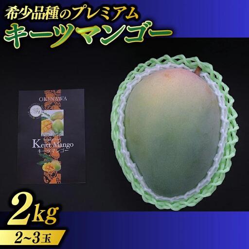 【2026年8月より順次発送】稀少プレミアム！！豊見城市産キーツマンゴー 約2kg(2～3玉) (BV002-2)