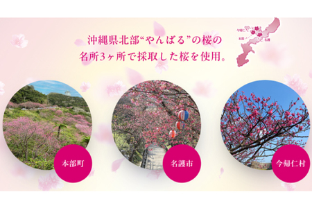 【 期間限定 】≪ オリオンビール いちばん桜 350ml × 24缶 ≫ (DQ006)