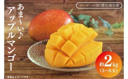 【2026年6月下旬より順次発送】マンゴーの里！豊見城市産♪あま?い♪アップルマンゴー 約2kg(3～6玉)(家庭用) (BV007-1)
