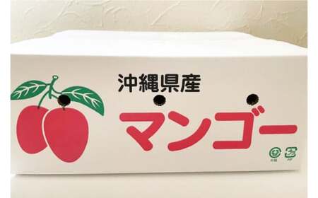 【2026年6月下旬より順次発送】マンゴーの里！豊見城市産♪あま?い♪アップルマンゴー 約2kg(3～6玉)(家庭用) (BV007-1)