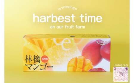 【2026年6月下旬より順次発送】マンゴーの里！豊見城市産♪あま?い♪アップルマンゴー 約2kg(3～6玉)(家庭用) (BV007-1)