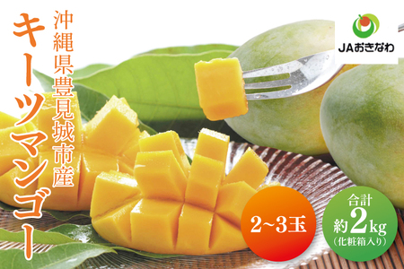 【2025年発送】キーツマンゴー 2～3玉(約2kg)(化粧箱)｜沖縄県 豊見城市 マンゴー キーツマンゴー フルーツ 果物 くだもの おきなわマンゴー ギフト 贈り物 化粧箱入り 先行予約(AE015)