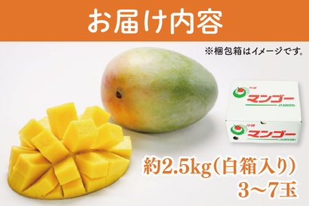 【2026年8月より順次発送】【訳あり】菜々色畑のキーツマンゴー 3～7玉(約2.5kg)【白箱】(AE017)