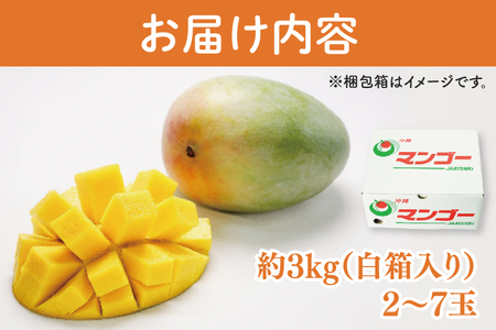 【2025年発送・訳あり】キーツマンゴー 2～6玉(約3kg)(白箱)ご家庭用｜沖縄県 豊見城市 訳あり わけあり 訳アリ キーツマンゴー マンゴー キーツ フルーツ 果物 くだもの おきなわマンゴー 家庭用 先行予約(AE018)