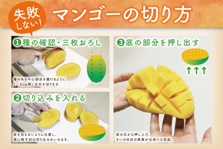 【2025年発送・訳あり】キーツマンゴー 2～6玉(約3kg)(白箱)ご家庭用｜沖縄県 豊見城市 訳あり わけあり 訳アリ キーツマンゴー マンゴー キーツ フルーツ 果物 くだもの おきなわマンゴー 家庭用 先行予約(AE018)