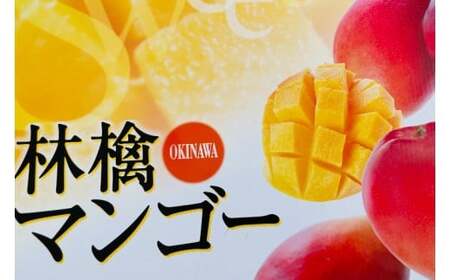 【2026年6月下旬より順次発送】★数量限定★沖縄県最優秀県知事賞に3度輝いた! ★秀品★沖縄マンゴー約1kg(2~3玉)(BV008-1)