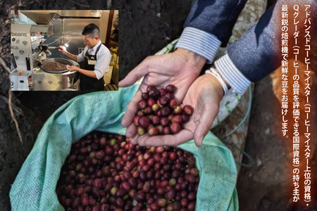 KINGDOM COFFEE BY ROYAL PROJECT(キングダム　コーヒー　バイ　ロイヤルプロジェクト）約200g (CO001)