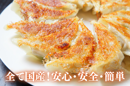 新琉流生餃子 計80個(20個入り×4パック)｜餃子 ぎょうざ ギョウザ 工場直売 国産 簡単 生餃子 生ぎょうざ おきなわ 沖縄 沖縄県 豊見城市 人気 送料無料(AY006)