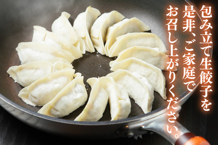 新琉流生餃子 計80個(20個入り×4パック)｜餃子 ぎょうざ ギョウザ 工場直売 国産 簡単 生餃子 生ぎょうざ おきなわ 沖縄 沖縄県 豊見城市 人気 送料無料(AY006)