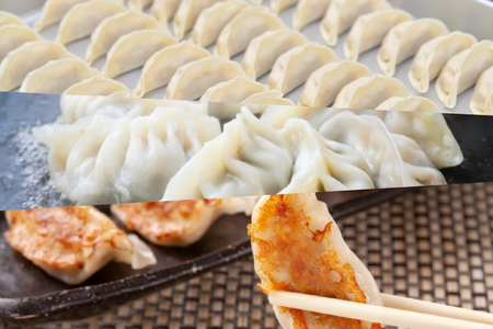 新琉流生餃子 計80個(20個入り×4パック)｜餃子 ぎょうざ ギョウザ 工場直売 国産 簡単 生餃子 生ぎょうざ おきなわ 沖縄 沖縄県 豊見城市 人気 送料無料(AY006)