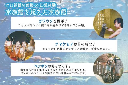 「DMMかりゆし水族館」入場券 大人1名(18歳以上) (DG001)