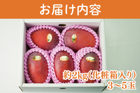 【2026年6月より順次発送】【訳あり】菜々色畑のアーウィンマンゴー 3～5玉(約2kg)【白箱】 ご家庭用 (AE011)