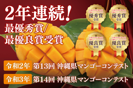 【2026年6月より順次発送】【訳あり】菜々色畑のアーウィンマンゴー 3～5玉(約2kg)【白箱】 ご家庭用 (AE011)