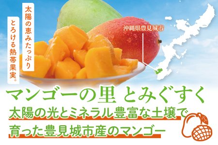 【2026年8月より順次発送】菜々色畑のキーツマンゴー 1~2玉(約900g)【化粧箱】 (AE014)