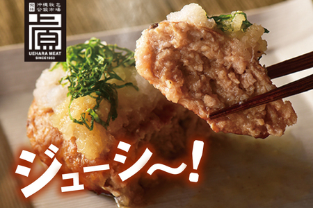 あぐーハンバーグセット(8個入) (AG036)