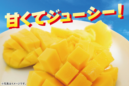 【2026年6月下旬より順次発送】★訳あり★沖縄県豊見城市産アップルマンゴー 約2kg (DJ002)
