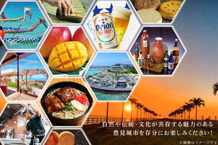 ★あとから選べる★沖縄県豊見城市ふるさとギフト 寄附額：20万円分 (CK008)