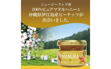 マヌカハニー＆沖縄県産ピーナツ 50g×2個 はちみつ 沖縄県 豊見城市(DK003)