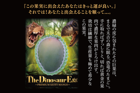 【2026年8月より順次発送】【THE Dinosaur Egg】プレミアムキーツマンゴー 1玉(約750g以上) (BV013)