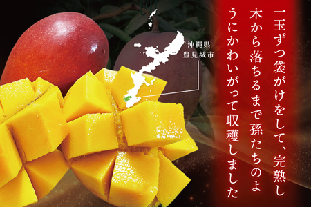 【2026年7月より順次発送】豊見城産マンゴー『殿内之宝(どぅんちのたから)・極』約1kg (DR001)