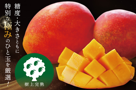 【2026年7月より順次発送】豊見城産マンゴー『殿内之宝(どぅんちのたから)・極』約2kg (DR003)