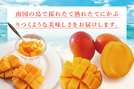 【2026年7月より順次発送】豊見城産マンゴー『殿内之宝(どぅんちのたから)・極』約2kg (DR003)