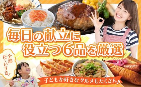 食卓おたすけ定期便（6回コース） TE004