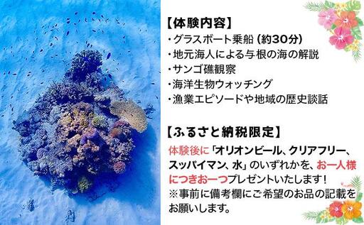 グラスボート体験 1名分