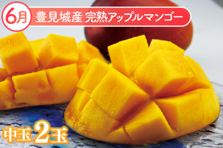 【2026年6月より順次発送】【6ヶ月定期便】沖縄フルーツ定期便(6～11月コース)｜フルーツ くだもの 果物 スターフルーツ マンゴー アップルマンゴー ミニマンゴー キーツマンゴー ドラゴンフルーツ バナナ 名護パイン園 定期便 フルーツ定期便 沖縄フルーツ おきなわ 沖縄県 豊見城市(AC019)