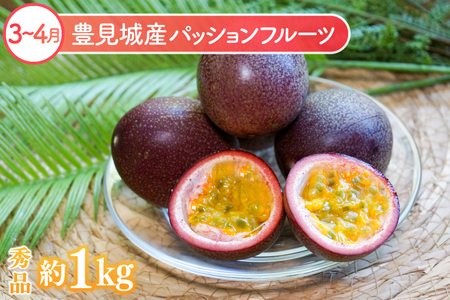 【全6回】豊見城 極上フルーツ定期便 (AC023)